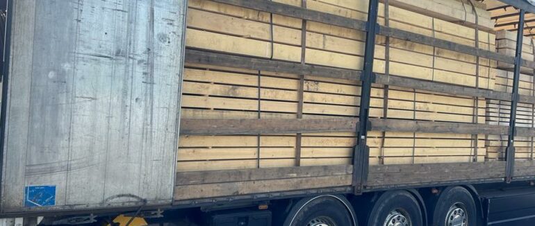 Закарпатські митники вилучили вантажівку з незаконною деревиною