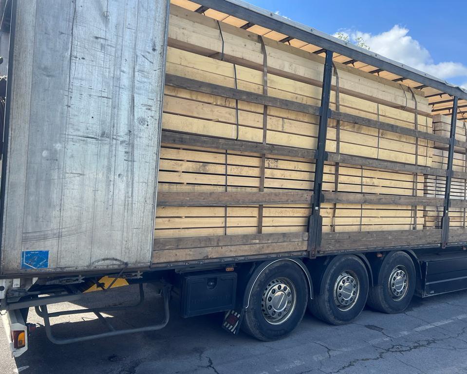 Закарпатські митники вилучили вантажівку з незаконною деревиною