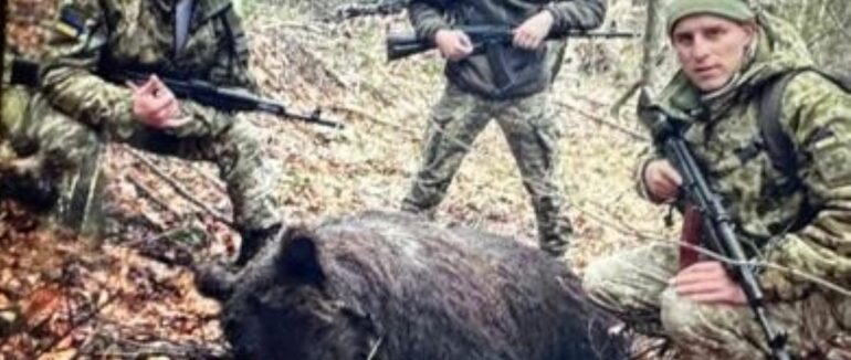 На Закарпатті прикордонників підозрюють у вбивстві мати ведмежата, якого на Великдень знайшли у селі