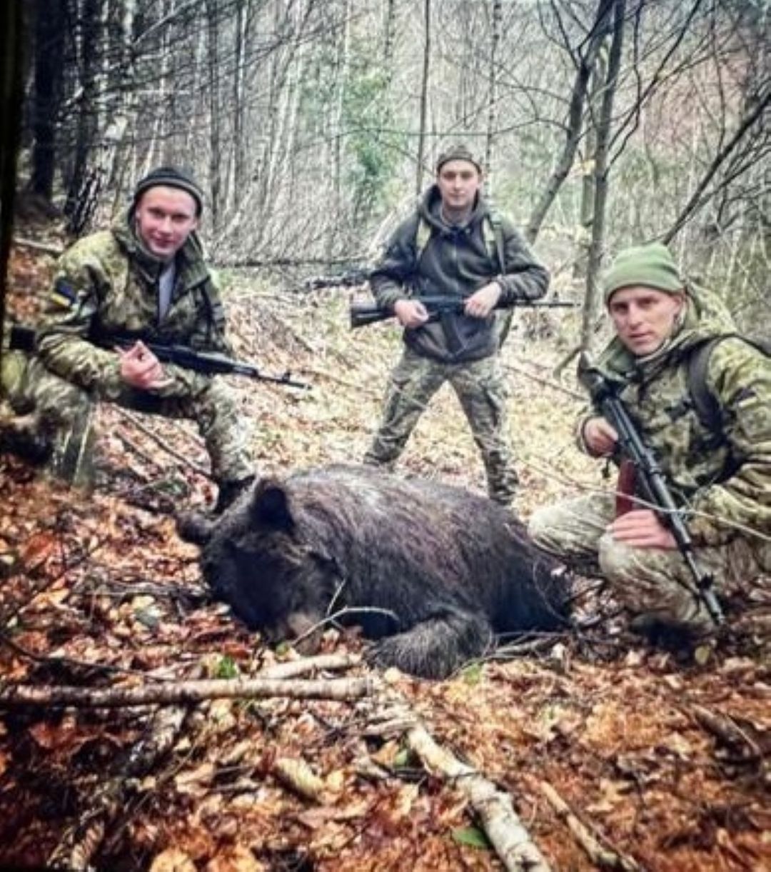 На Закарпатті прикордонників підозрюють у вбивстві мати ведмежата, якого на Великдень знайшли у селі