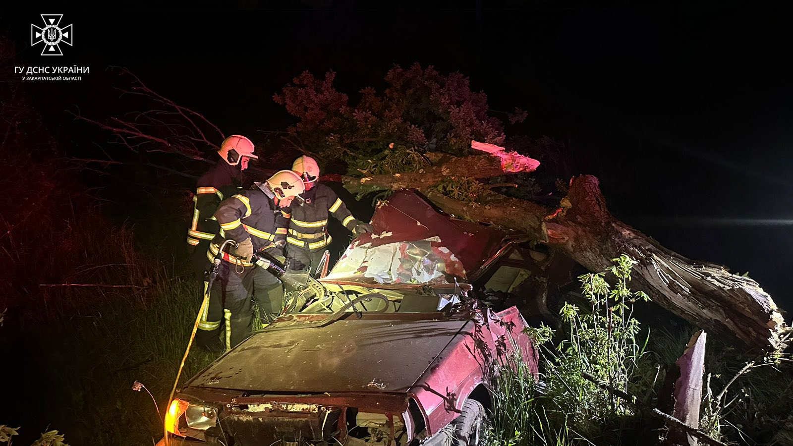 На великій швидкості в`їхав у дерево: подробиці фатальної ДТП у Хустському районі