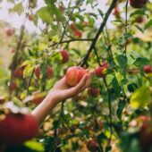 До 10 тисяч доларів на власну справу: на Закарпатті завершили грантовий конкурс для бізнесу