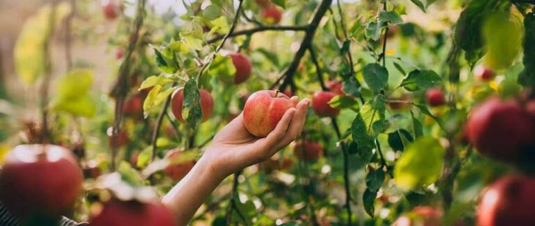 До 10 тисяч доларів на власну справу: на Закарпатті завершили грантовий конкурс для бізнесу