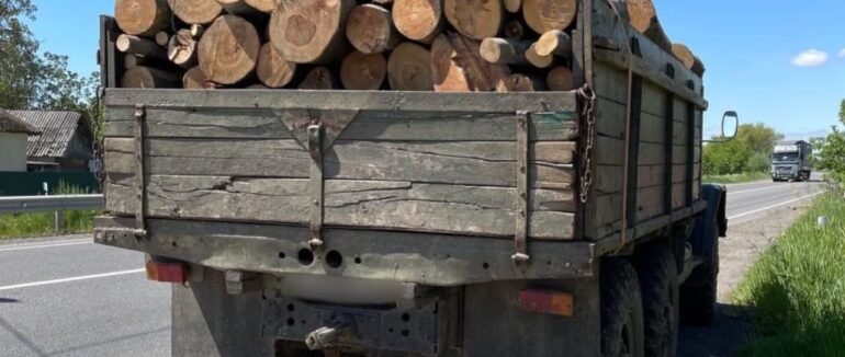 Поблизу Ужгорода зупинили вантажівку з деревиною: водій пропонував хабар патрульним