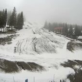 Зима повертається: у горах на Рахівщині випав сніг (ФОТО)