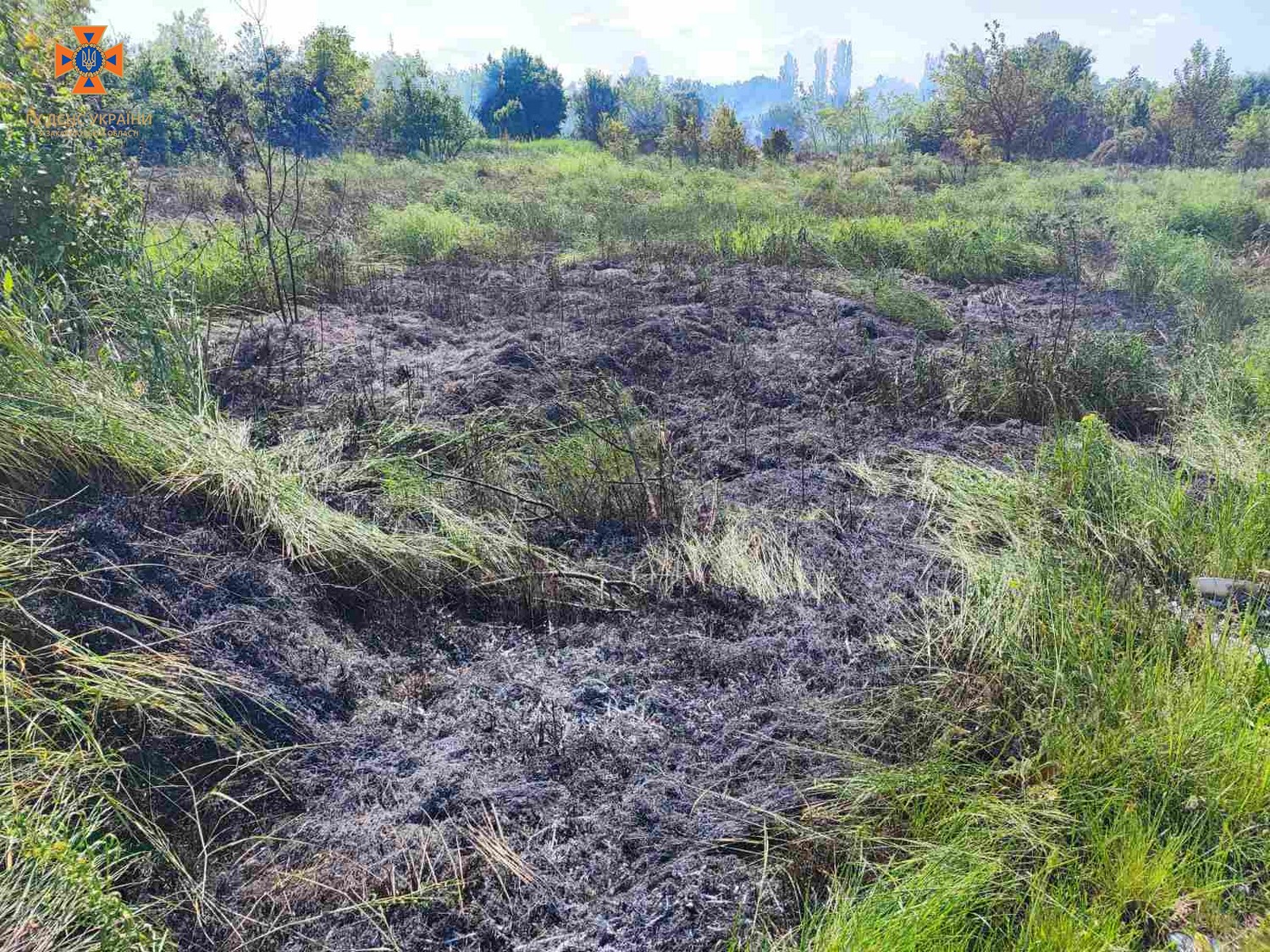 У Берегові рятувальники ліквідували загорання сухостою