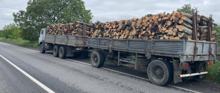 На Закарпатті поліцейські виявили водія, який перевозив деревину із порушеннями