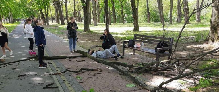 В Ужгороді на двох людей, що сиділи на лавці впала велика гілка