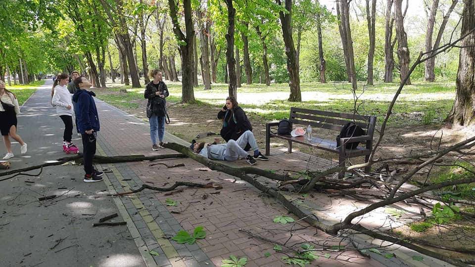 В Ужгороді на двох людей, що сиділи на лавці впала велика гілка