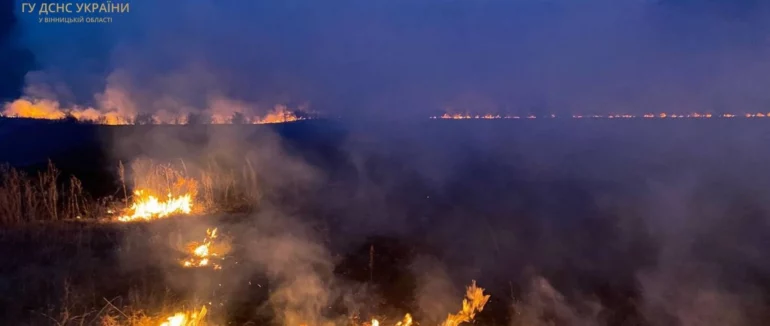 З початку року в Закарпатті ліквідовано вже 106 пожеж в екосистемах