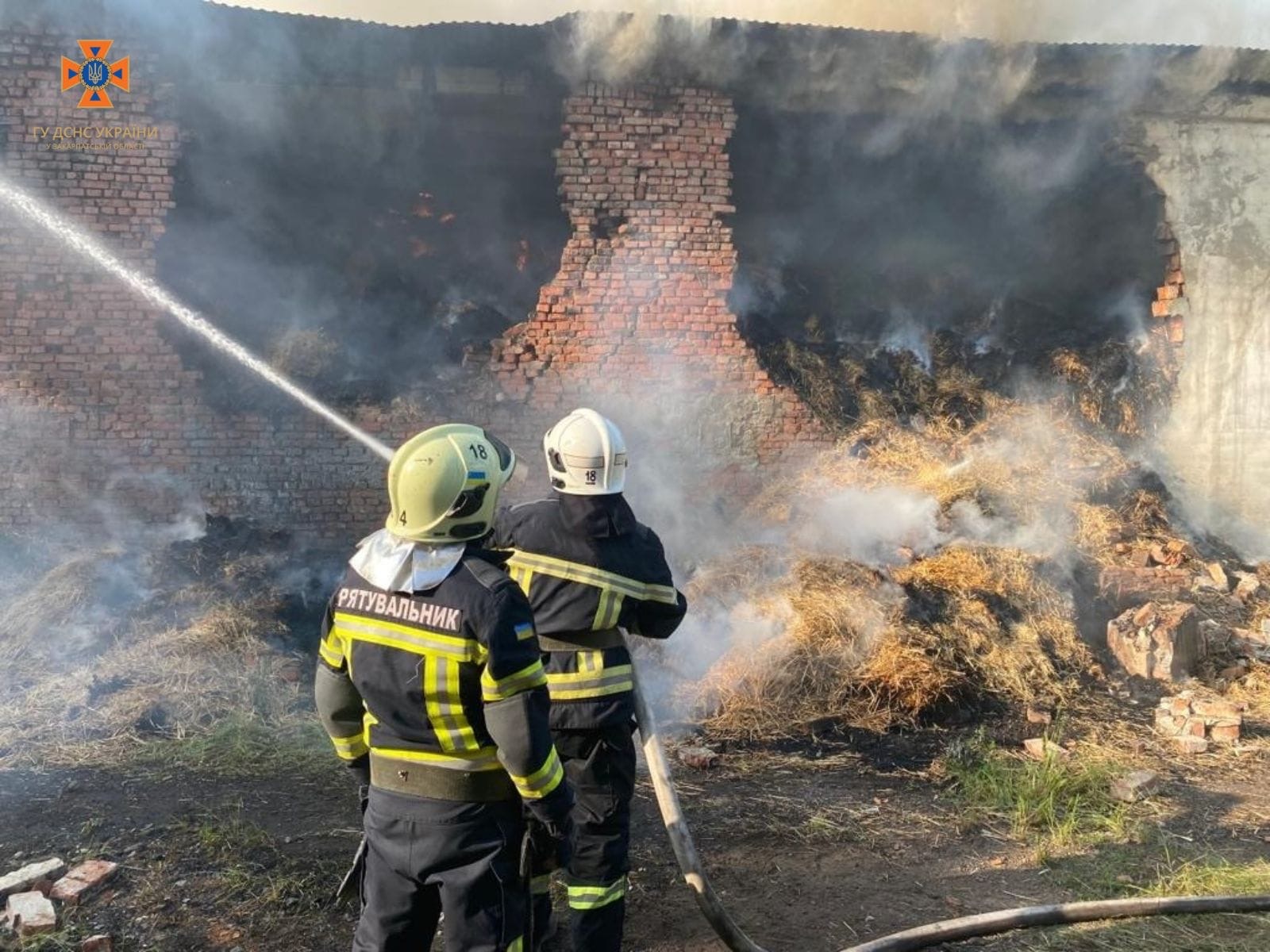 Масштабна пожежа на Берегівщині: вогонь приборкували на площі понад 1300 кв. м