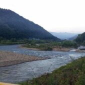 Впала із мосту: рятувальники витягли з річки Тересва закарпатку