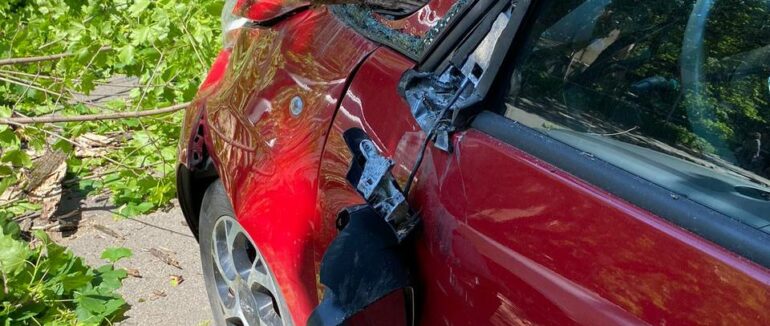 В Ужгороді знову впала гілка: пошкоджено автівки