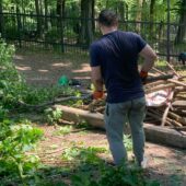 Невицький замок – до ладу: Оноківська громада влаштувала екотолоку у стінах фортеці (ФОТО)