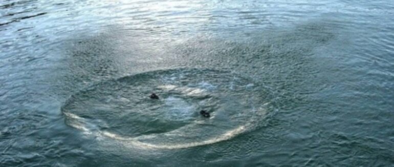 У річці Боржава водолази шукають тіло потопельника