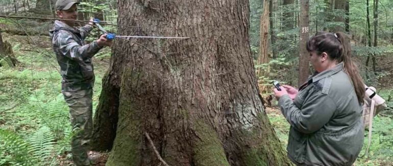 У Карпатському нацпарку провели наукові дослідження