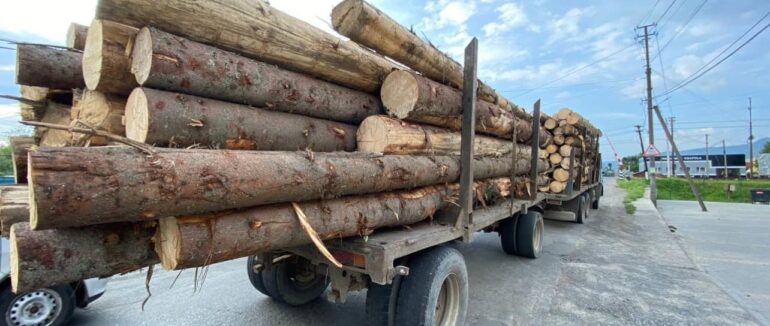 На Тячівщині вмявили вантажівку з нелегальною деревиною