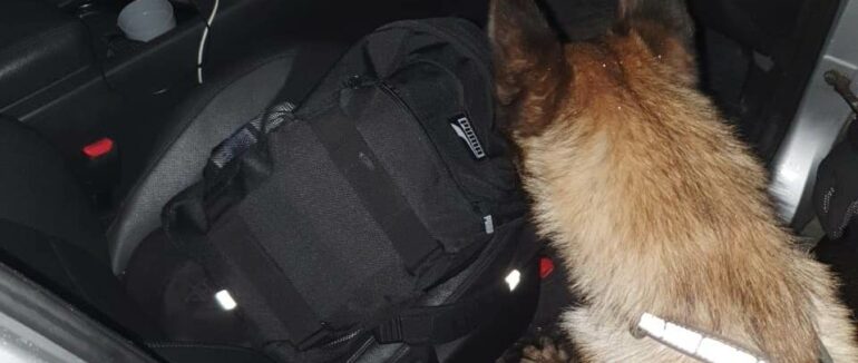 На Закарпатті на кордоні службовий пес митника зупинив любителя наркотичного «кайфу»