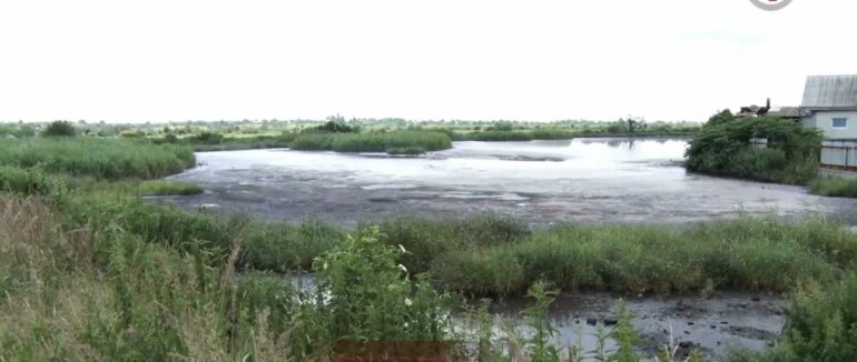 Масова загибель риби: на Мукачівщині екоінспекція досліджує причину мору (ВІДЕО)