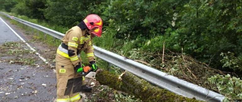 Негода на Закарпатті повалила дерева та знеструмила 19 населених пунктів