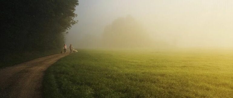 На Закарпатті до кінця тижня прогнозують дощову, але помірно теплу погоду