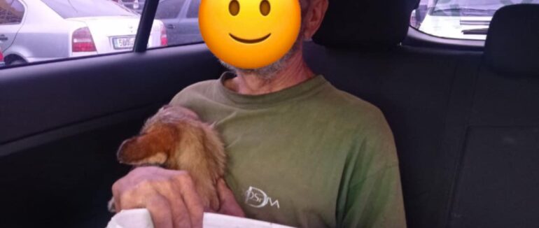 Патрульні допомогли дістатись додому закарпатця, який заблукав у лісі