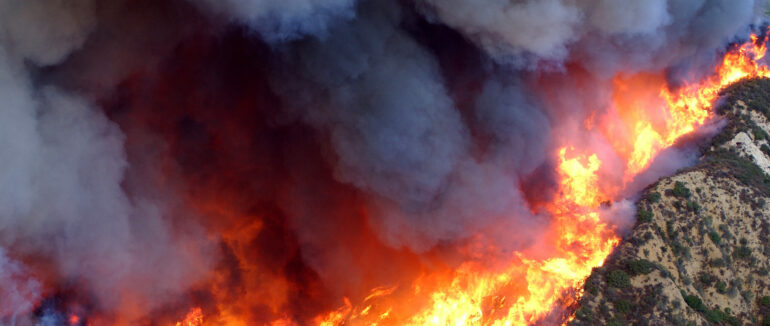 На Мукачівщині пожежа знищила напівпричіп з вантажем (ВІДЕО)