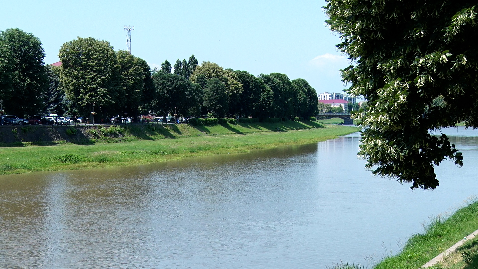 Сезон відпочинку біля водойм: що треба знати про власну безпеку при перебуванні на воді (ВІДЕО)