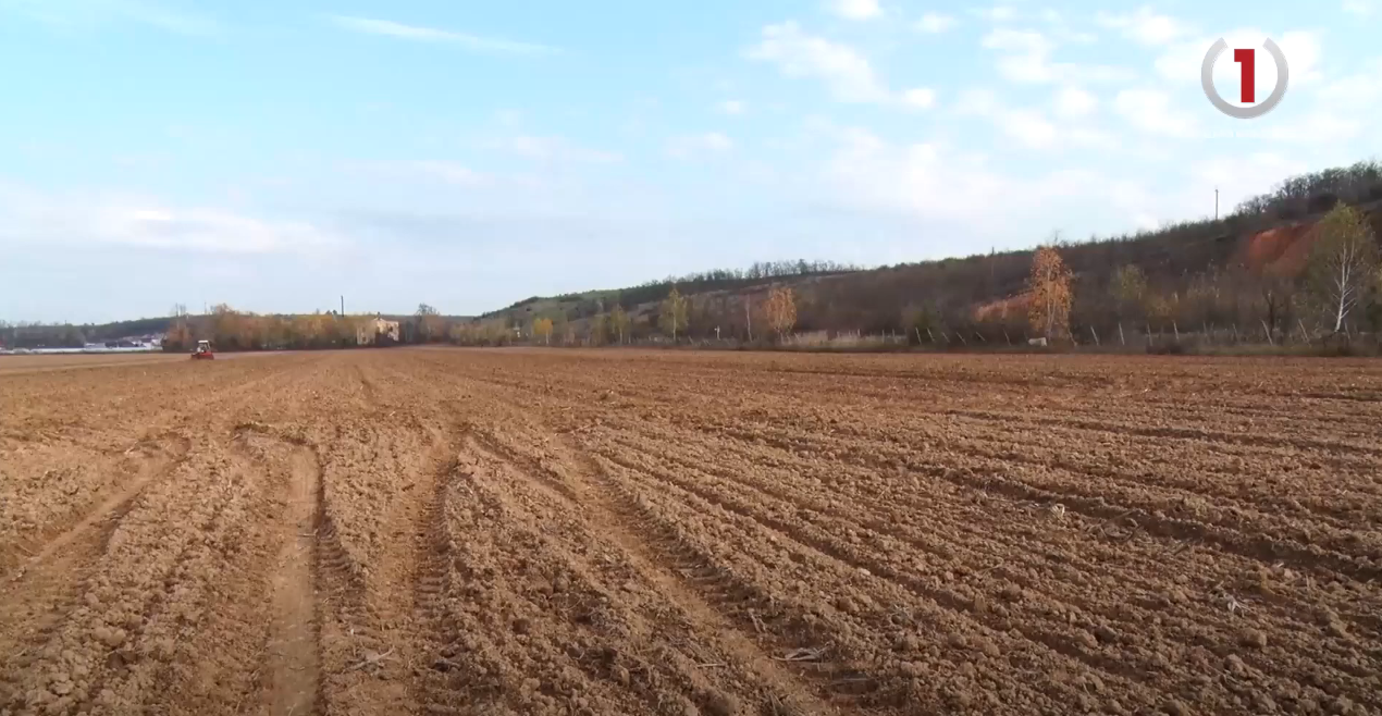 Підбили підсумки: на Закарпатті завершили весняну посівну кампанію (ВІДЕО)