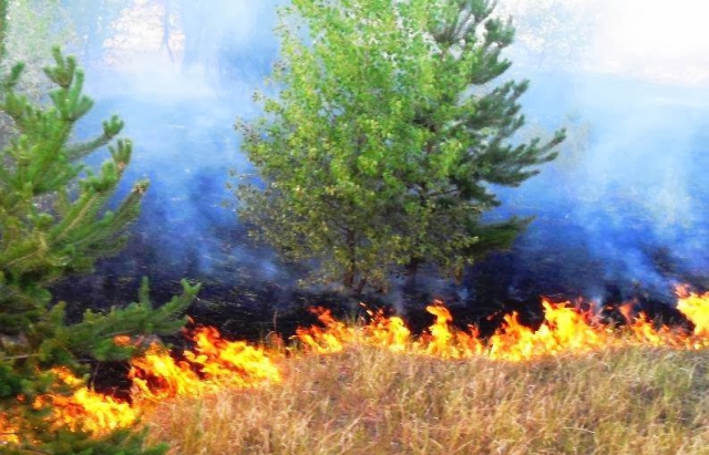 За вихідні на Закарпатті зафіксували більше 10 підпалів сухостою