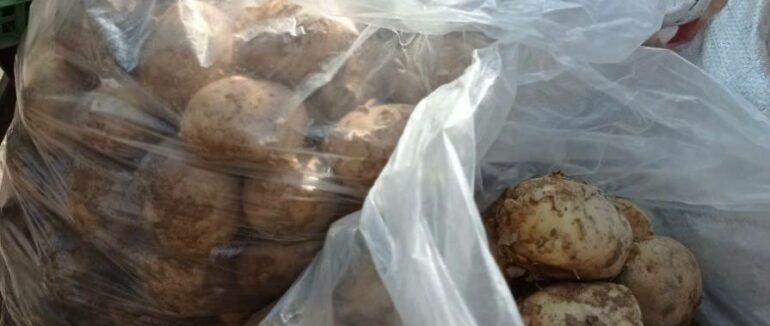 Молода картопля, помідори та зелень: яка ціна на ринку сезонних овочів цьогоріч