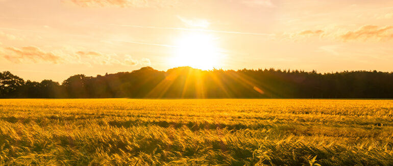 Коли в Закарпатті потепліє та менше дощитиме: прогноз погоди