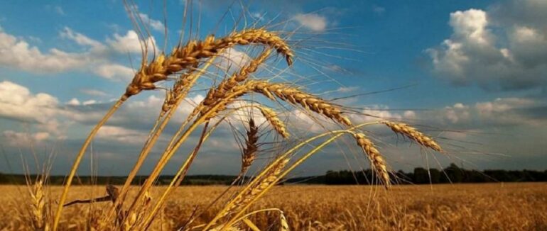 Прогноз погоди на серпень: коли літо скаже нам “до побачення”