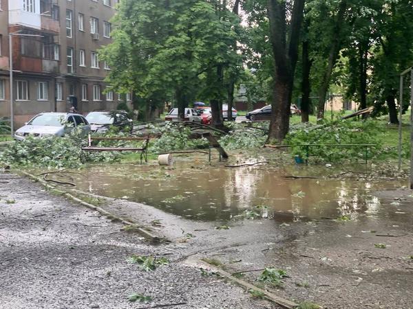 В Ужгороді негода обірвала електролінії, повалила дерева та підтопило вулиці (ФОТО, ВІДЕО)