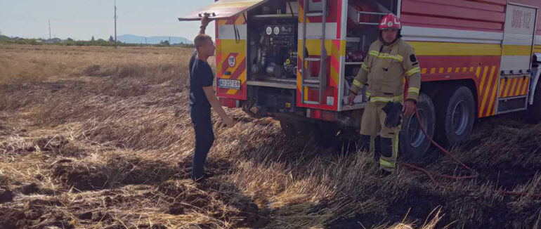 В Ужгородському районі горіло поле з пшеницею