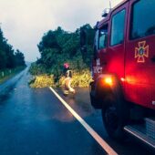 Знеструмлено 30 населених пукнтів: наслідки негоди на Закарпатті