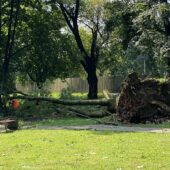 Звіт про наслідки негоди: у Закарпатській області знеструмлено 42 населені пункти (ФОТО)