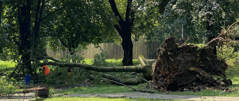 Звіт про наслідки негоди: у Закарпатській області знеструмлено 42 населені пункти (ФОТО)