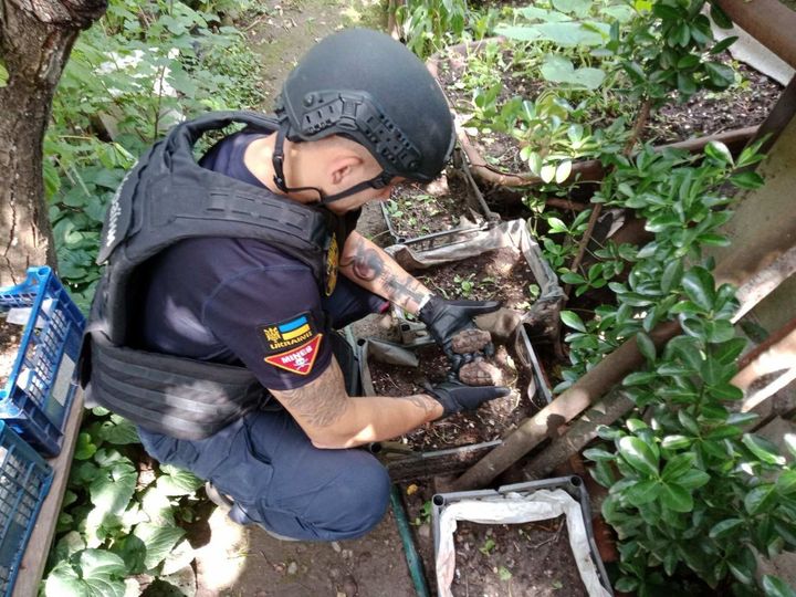 Закарпатці випадково знайшли у своєму дворі гранати