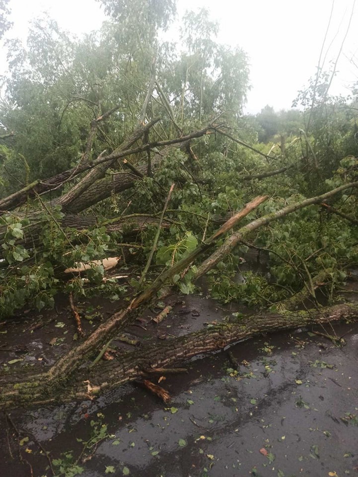На Берегівщині вирувала негода: надзвичайники розповіли про її наслідки
