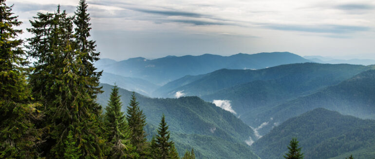 На Закарпатті у горах допомогли туристу, якому стало зле під час проходження туристичного маршруту
