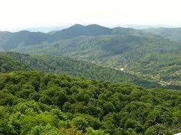 Верховна Рада України ухвалила рішення про перейменування села на Закарпатті