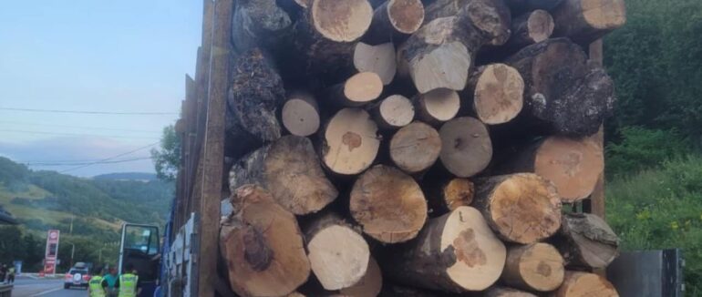 На Закарпатті виявили водія, який незаконно перевозив деревину