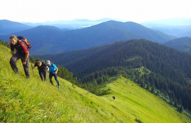 На Рахівщині отруїлося п‘ятеро туристів: всіх госпіталізували до лікарні