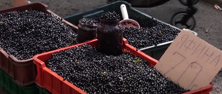 Актуальні ціни та попит: збір та продаж яфини на Закарпатті у розпалі (ВІДЕО)