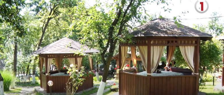 Перший еко-офіс на Закарпатті: в Ужгороді відкрили унікальний об’єкт (ВІДЕО)