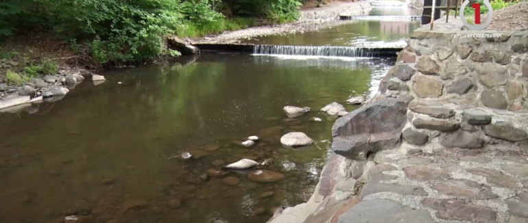 Пікніки просто неба: на Мукачівщині переповнені гостями садиби (ВІДЕО)