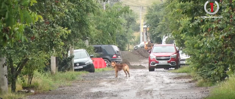 Дороги без ремонту: мукачівці скаржаться на ями по-коліно на вулицях міста (ВІДЕО)