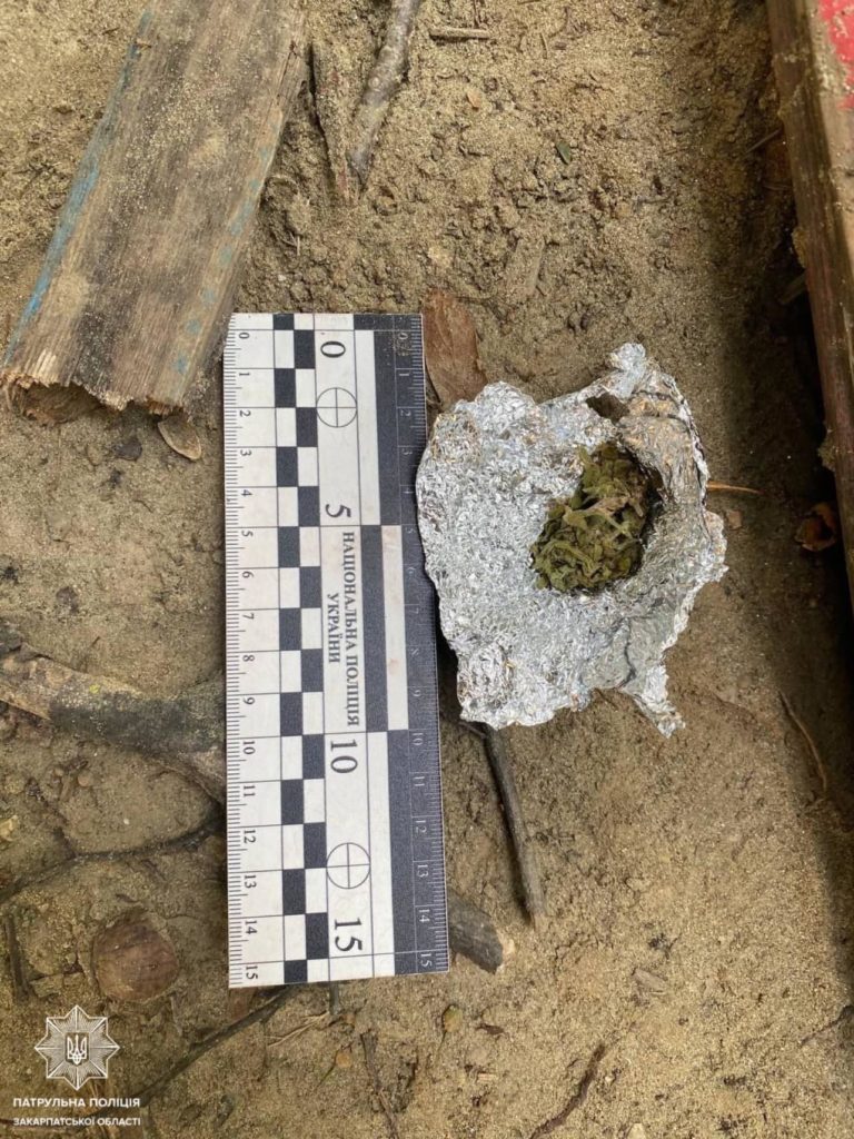 Патрульні виявили двох ужгородців, які мали з собою наркотичні речовини
