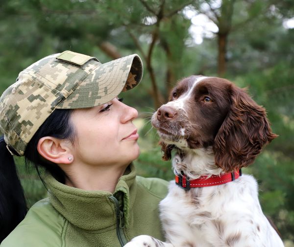 Спанієлі – найкращі друзі-партнери прикордонників Закарпаття (ФОТО)